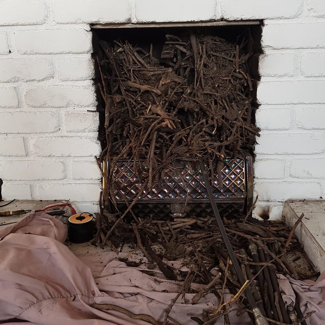 Chimney nest removal